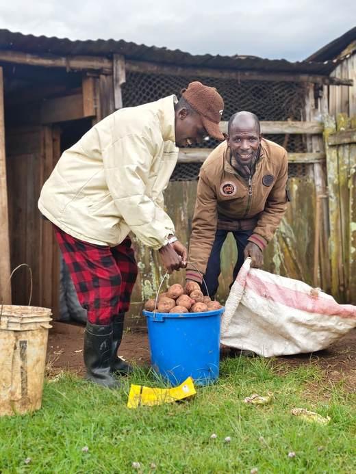 Farmers with potato harvest